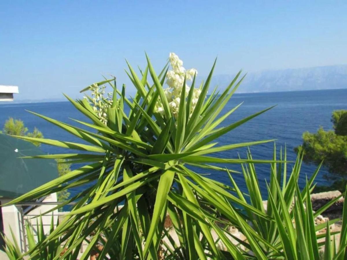 Holiday House Jakov Gdinj Dış mekan fotoğraf