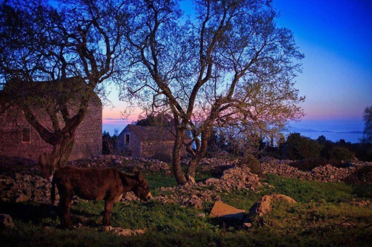 Holiday House Jakov Gdinj Dış mekan fotoğraf