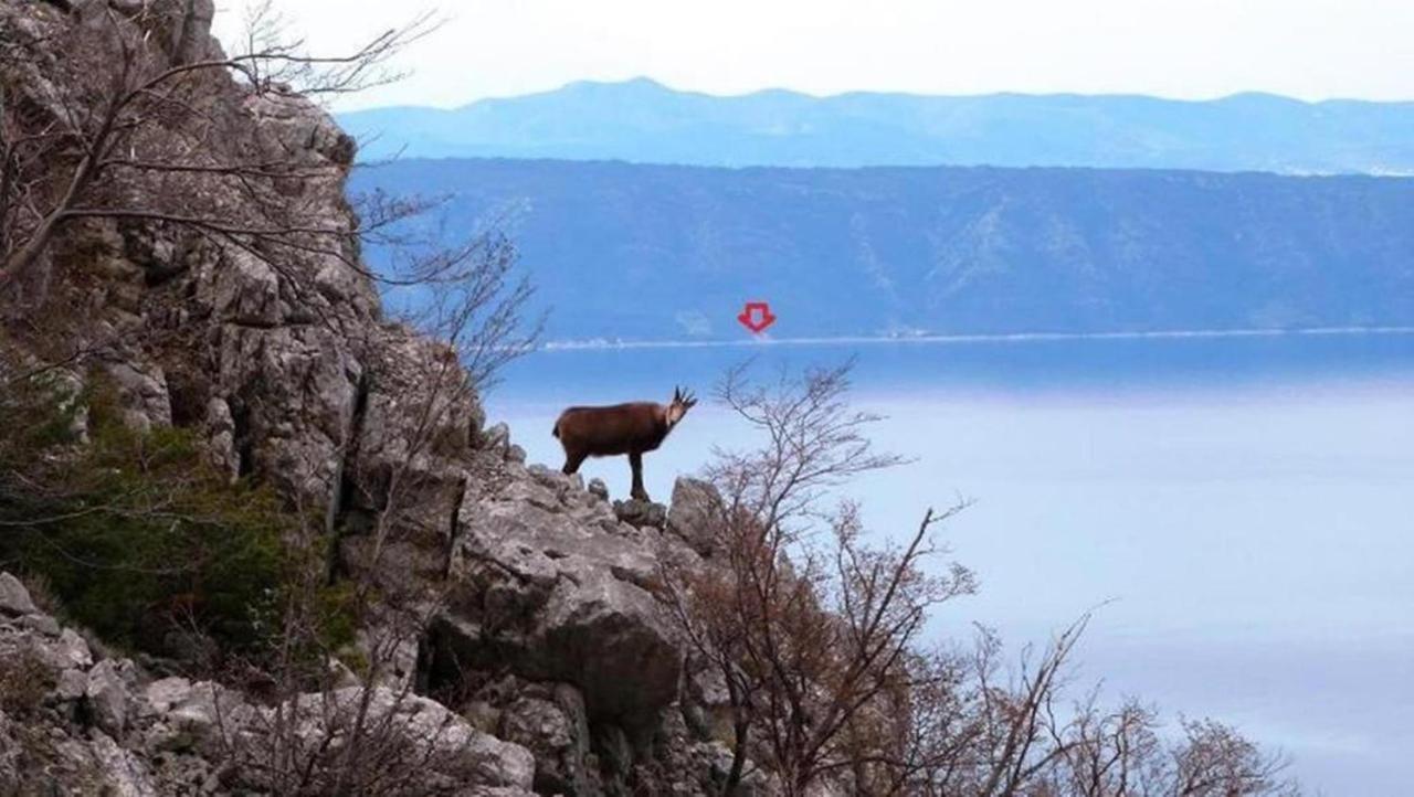 Holiday House Jakov Gdinj Dış mekan fotoğraf