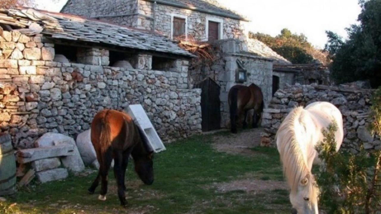 Holiday House Jakov Gdinj Dış mekan fotoğraf